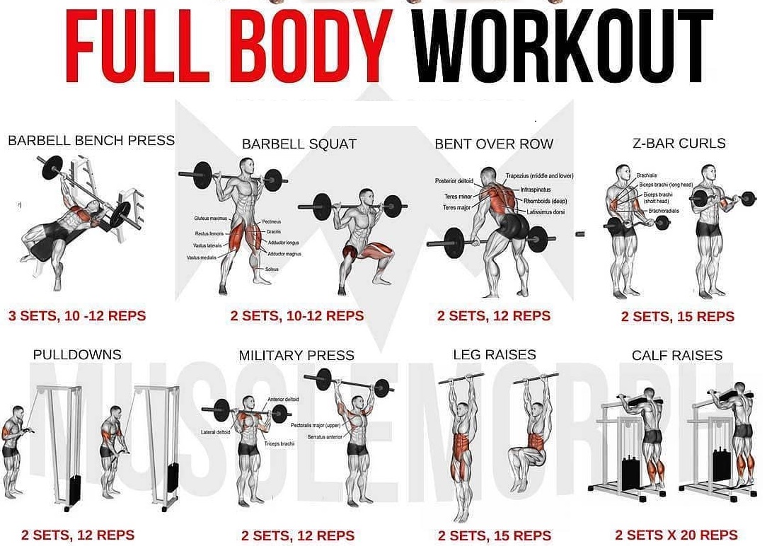 full-body exercises