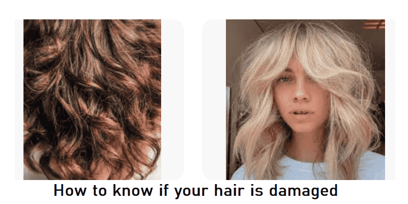 How-to-know-if-your-hair-is-damaged