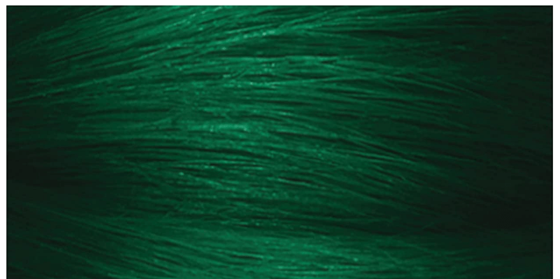 Best Green Hair Dye: Transform Your Look with These Top Picks!